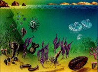 /album/hist%c3%b2ria-del-nostre-planeta/proterozoic-jpg/