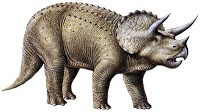 /album/hist%c3%b2ria-del-nostre-planeta/triceratops-jpg/